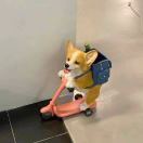 羊肝