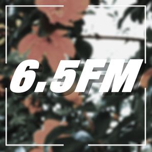 六层半6.5FM