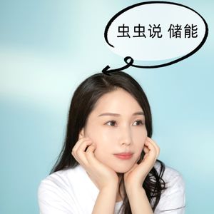 Vol273.二氧化碳储能，再次写入重磅文件！