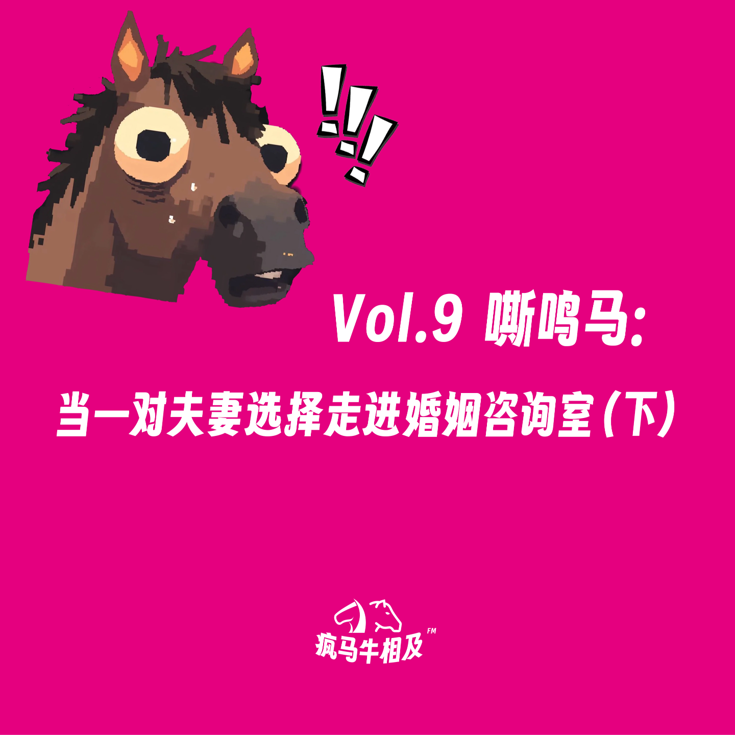 Vol.9 嘶鸣马 | 当一对夫妻选择走进婚姻咨询室（下） episode artwork