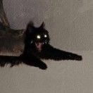 狞夜