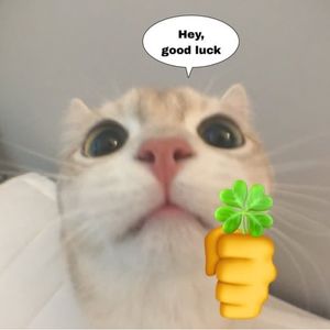 podcaster-avatar