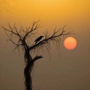 品读《天净沙·秋思》