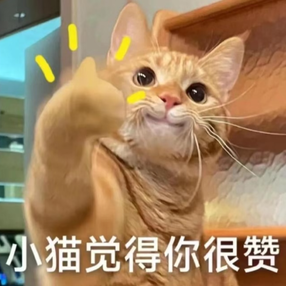 147.毛孩子就诊记:养猫如带娃,生病最着急!新手铲屎官如何应对?