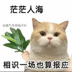 DM长河