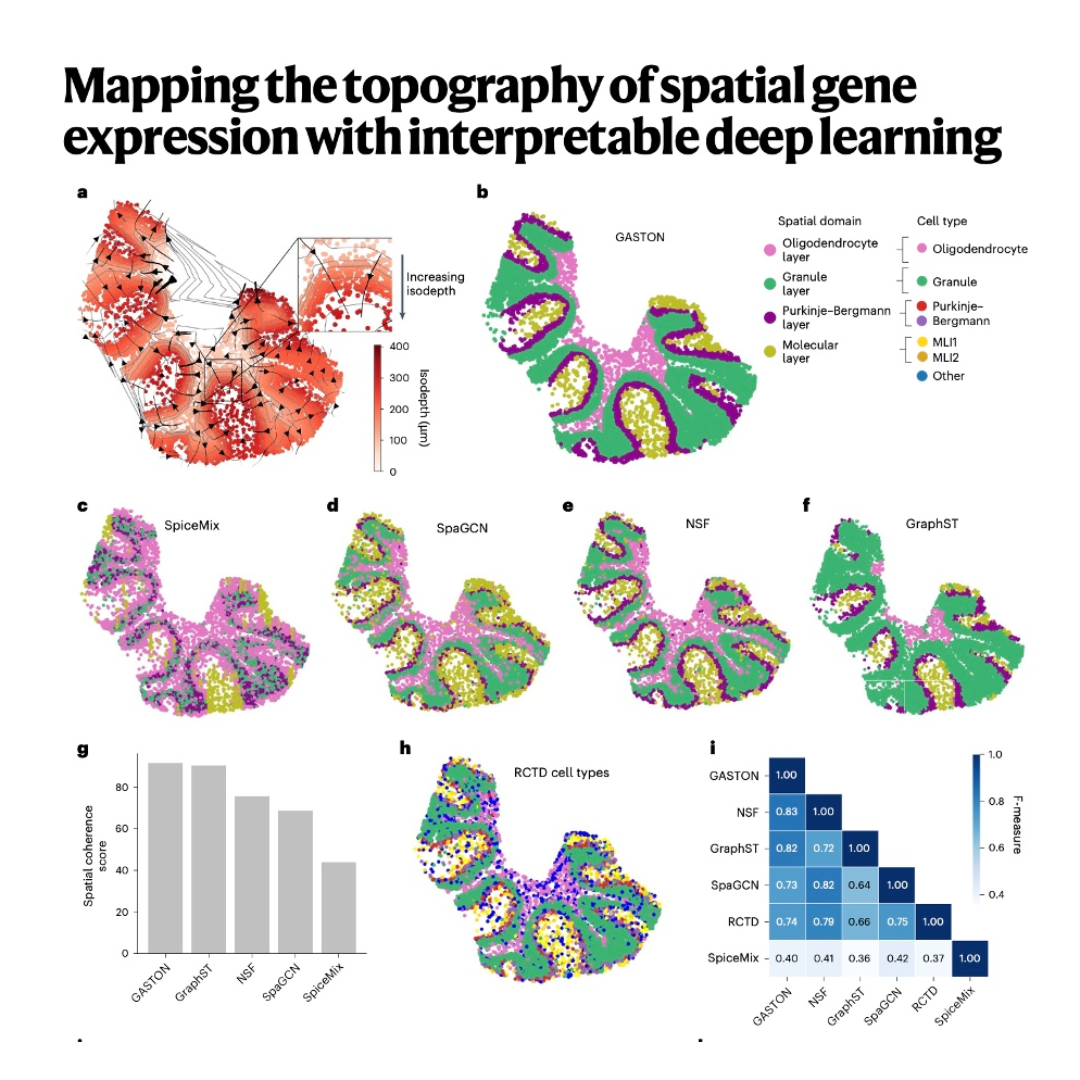 848-GASTON: Mapping Tissue Topography episode artwork