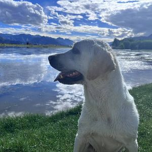 学历贬值背后的底层逻辑及应对