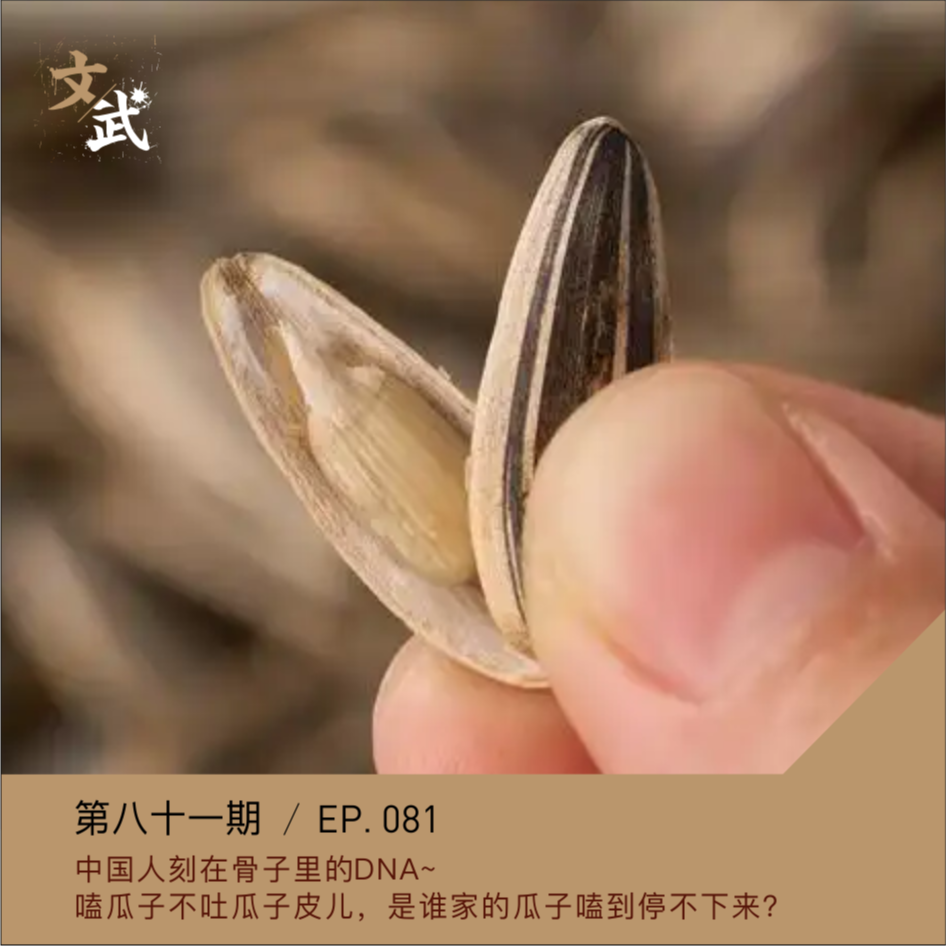 cover of episode EP081 一颗瓜子，半部民营经济史；一把葵花，万亩向阳生长力。中国人刻在骨子里的DNA