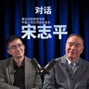 陈为对话宋志平：企业深受内卷之苦，怎么办？