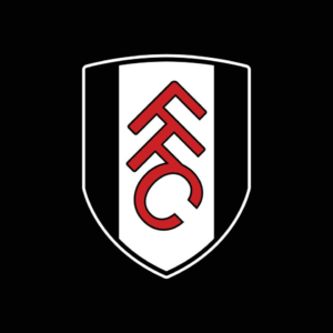 10.斥巨资建奢华看台,小投入创积分纪录~24/25赛季英超20队盘点(十):富勒姆