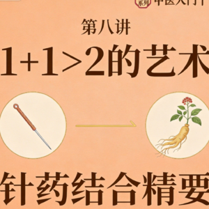 第八讲：1+1>2的艺术——针药结合精要