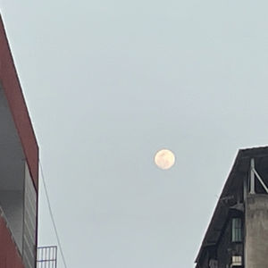 你一定爱读的极简欧洲史 书籍阅读