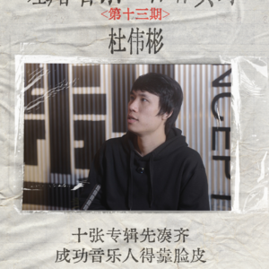 十张专辑先凑齐，成功音乐人得靠脸皮。