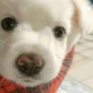 kuangye
