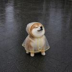 还我二食堂