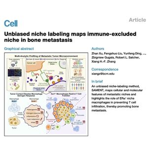 994-SAMENT: Mapping Niche in Bone Metastasis