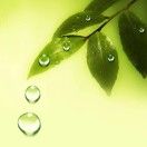 秤心无恙