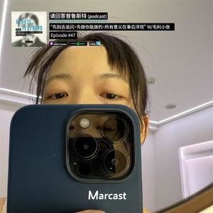 “先别去追问，先做你能做的，所有意义在事后浮现” W/毛利小张 | 请回答普鲁斯特 047