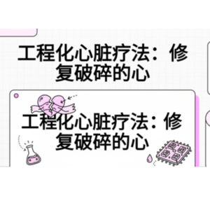 水凝胶的心动革命：重塑心脏贴片与器官芯片的未来