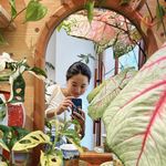 渺渺不在家