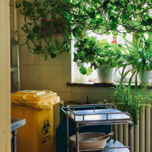 EP13 认怂/手术/心力交瘁：本命年半年度使用报告