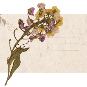 Vol.2 燕妮·埃彭贝克《白日尽头》- “活着不过是让两股势力在她这里相互较量”