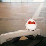 是段段原不是担担面