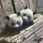 路转溪桥_AbJ3