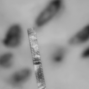 58.出租房躺床男尸，肚子上的梅花刀口，无人知晓的白衣女人