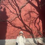 美好的一天LaVie