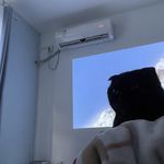 落水-狗