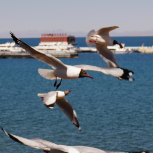 裸辞后,和朋友慢悠悠地打个电话,坦白失控和没有答案