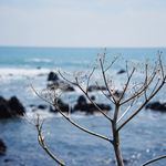 李一二三四