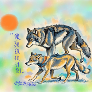 跟任正非隐喻100则学领导力：第15期“狼狈计划”