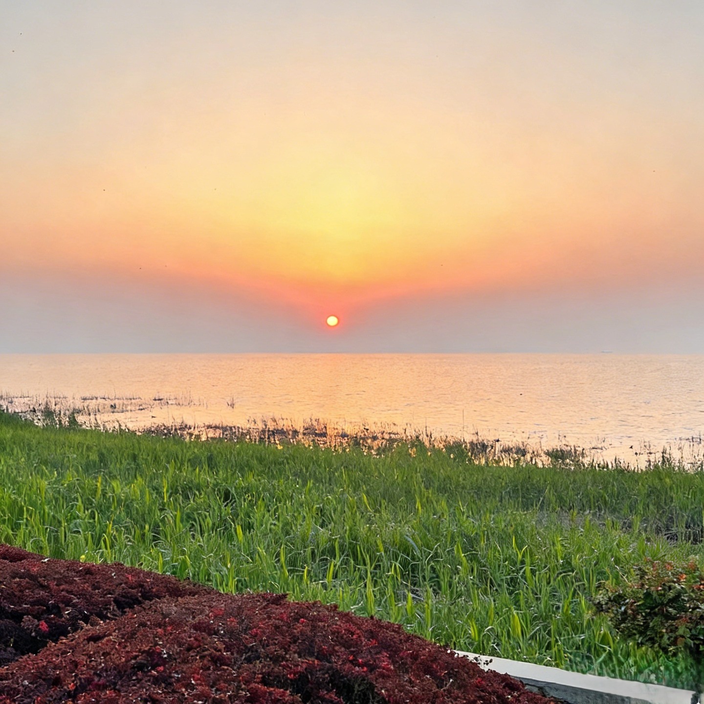 沐声：静水流深慢交易