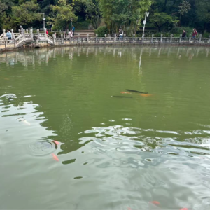 我国刑法中关于特殊防卫的认定