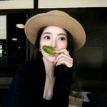 追蝴蝶还没追到版