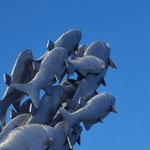 鱼片产地得布里