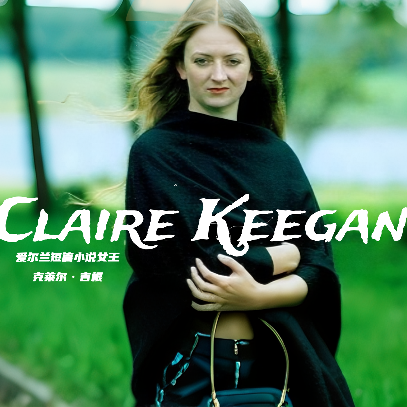 读不完 - 克莱尔·吉根《南极》：一位婚姻幸福的女性决定出轨｜爱尔兰短篇女王 封面