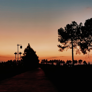 收集秋天的快乐,拥抱属于自己的能量场!