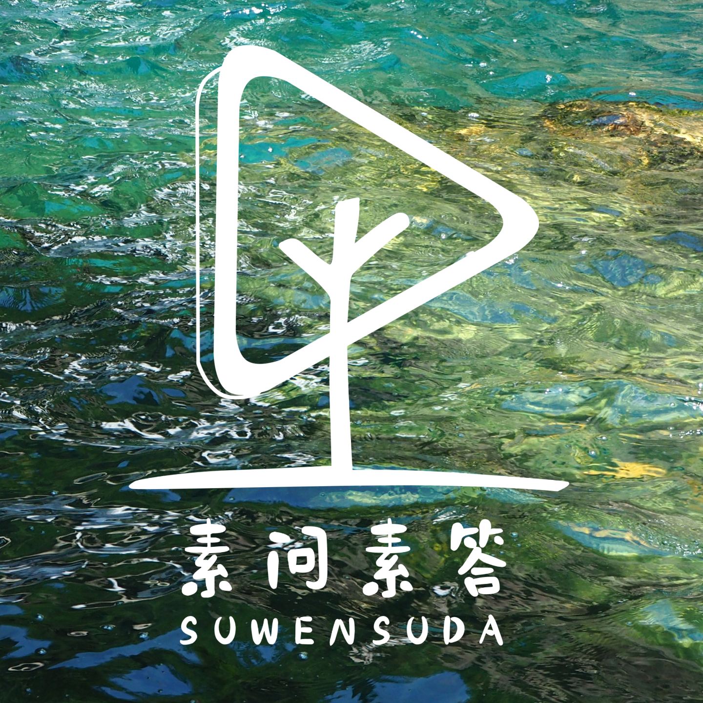 cover of episode 和祖传中医聊聊如何保持高能量，疲惫打工人请进！