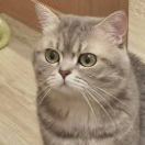 刺猬有刺
