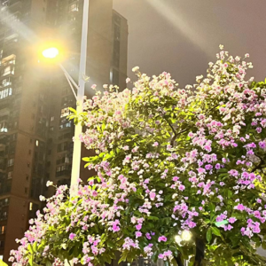 我爱你，偏爱即例外🌦️