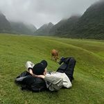 白水煮老北鼻