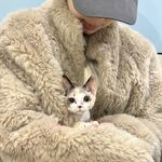 果然真的睡不醒