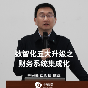 陈虎：数智化五大升级之财务系统集成化