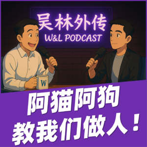 07 如何面对陪伴我多年的猫咪离世？
