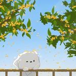 小陈努力进步中