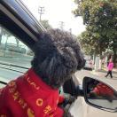 杨乐多_ZHwp