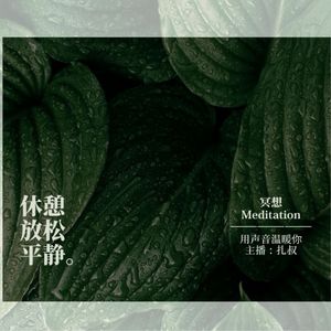 扎叔的冥想日记